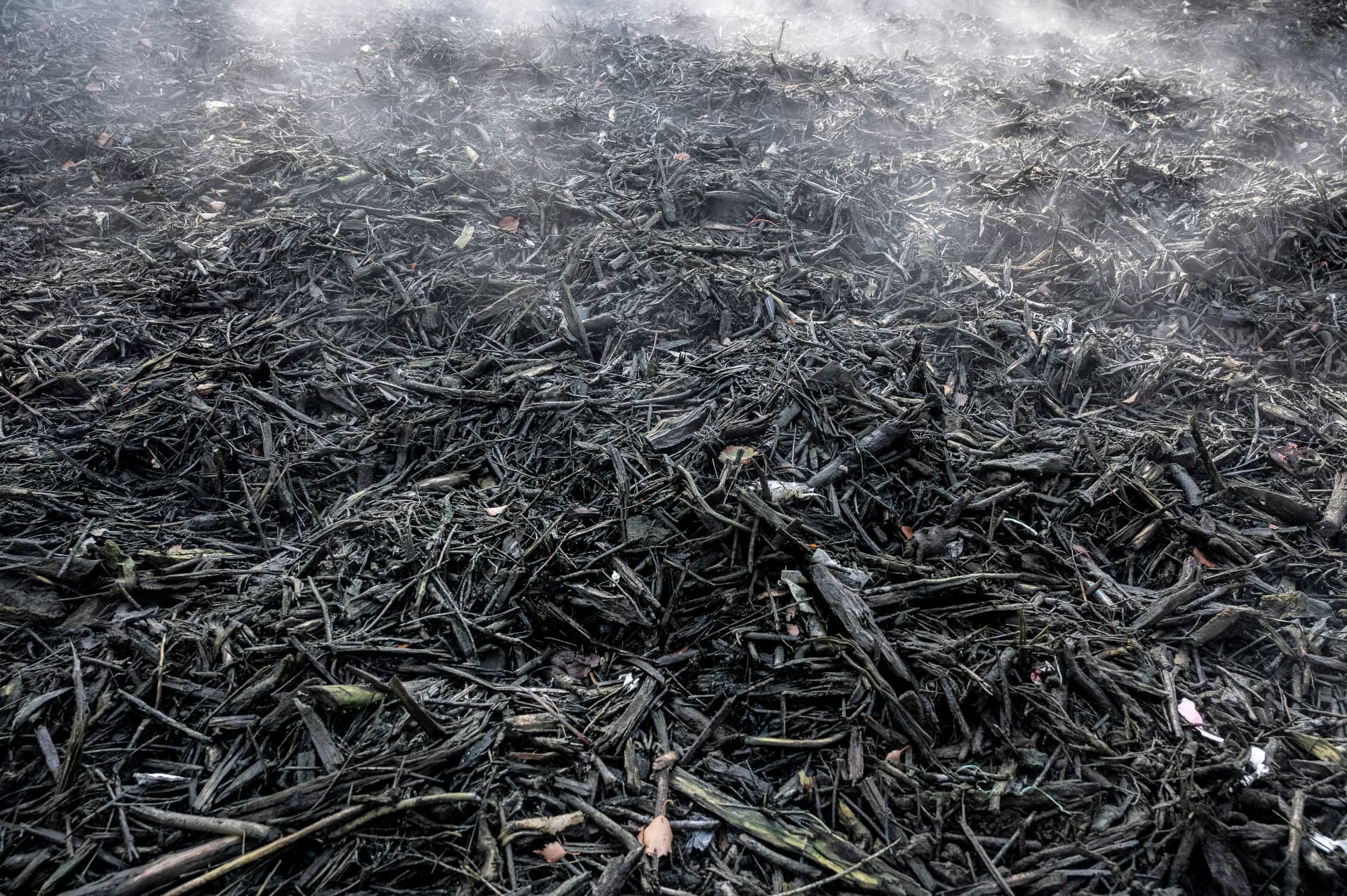 Warm air rising from the root wood filter bed